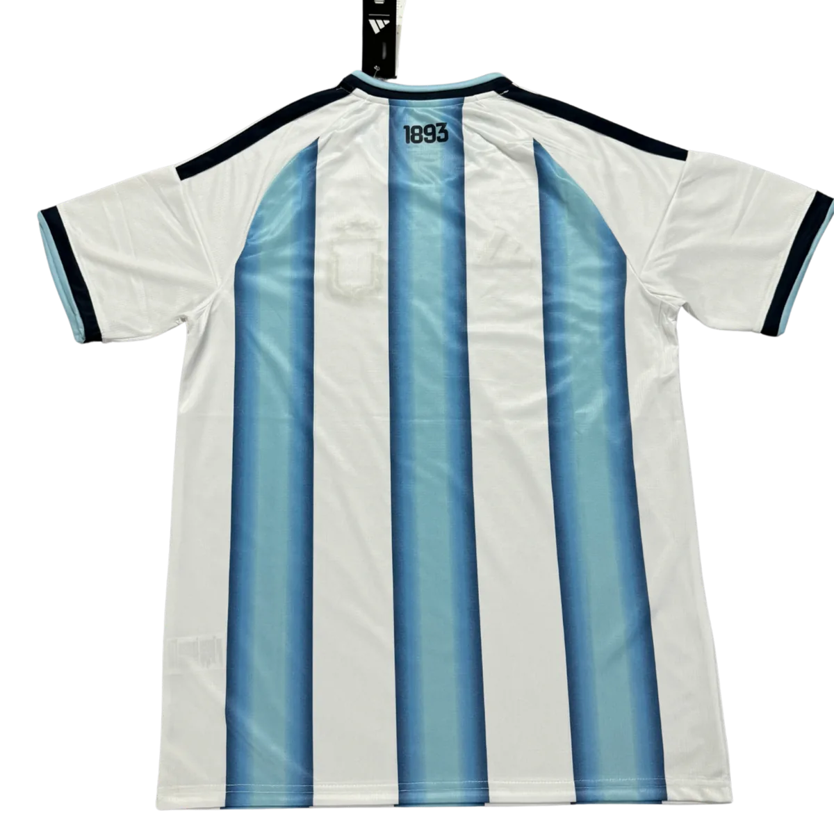 Camiseta Argentina Mundial 2026 - Colección 2026 - Vista 2
