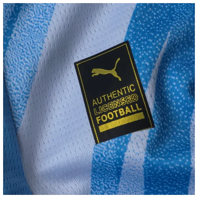 Camiseta local Manchester City 25/26 - Temporada 25/26 - Vista 5